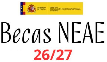 BECAS EDUCACION ESPECIAL DIBUJO 26-27